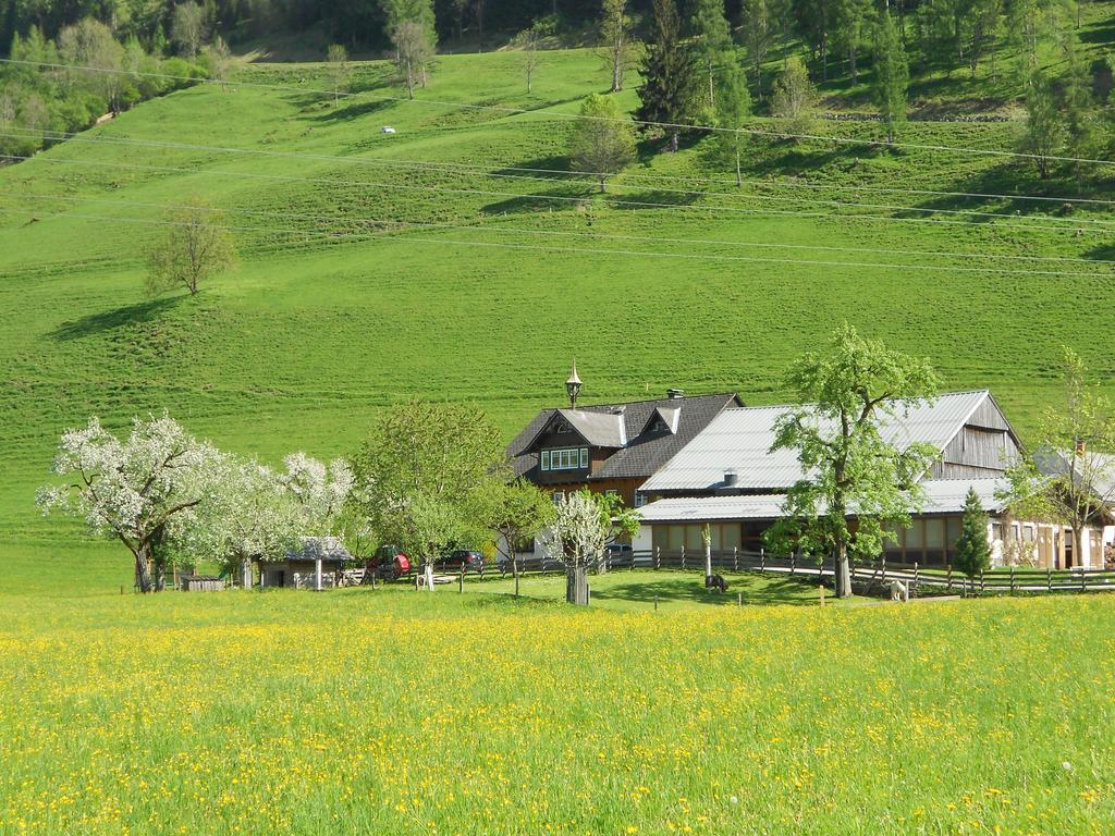 Weitgasserhof Schladming Exterior photo